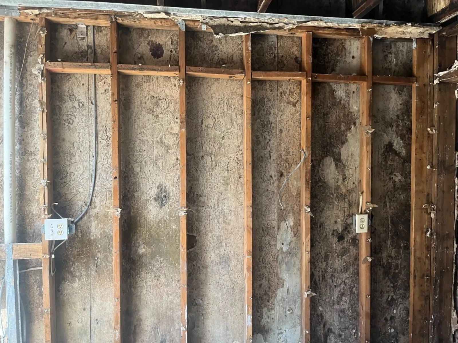 Close view of wall studs and sheathing with mold growth traced across the framing.